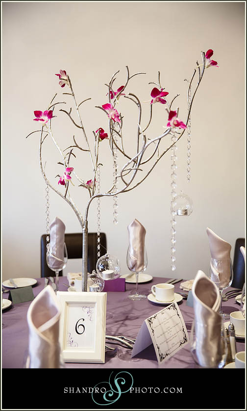 Our trees are stunning and romantic. They are tall but won't obstruct your guests dinner conversation or their view of the bridal party. Hanging crystal strands, ribbons, flowers, and glass globes are all optional add ons.